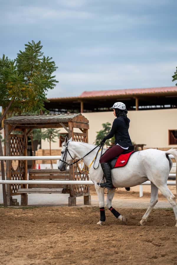 1 Hour Horseback Dubai Desert Park Ride - Riding through Dubai’s less expected desert