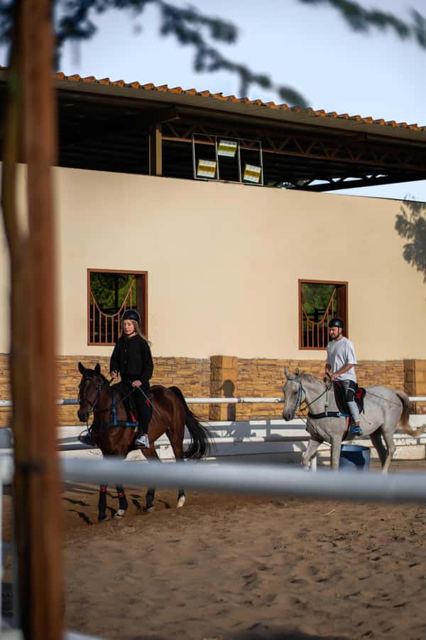 1 Hour Horseback Dubai Desert Park Ride - Cantering, walking, and setting the right pace