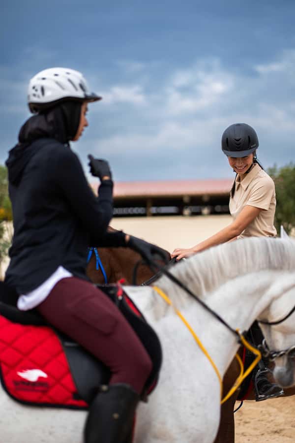1 Hour Horseback Dubai Desert Park Ride - My verdict: book it for scenery and horses, not speed