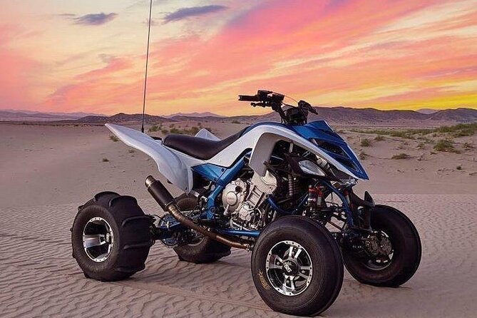 1-Hour Quad Bike Adventure: BBQ Dinner, Sandboarding & Shows! - Camel rides and henna painting