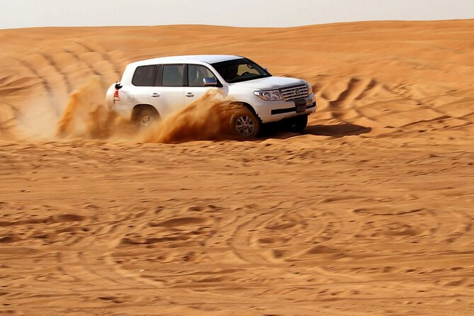 2 seater Dune Buggy Safari in Sharjah - Guides can make or break the outing