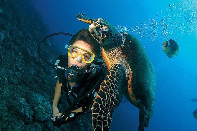 3-Day PADI Open Water Diving Course in Dubai - Starting at Azure Residences on Palm Jumeirah