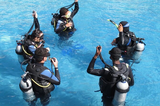 4 Day Certified PADI Open Water Scuba Diver in Dubai - Is a group of up to 15 too large?