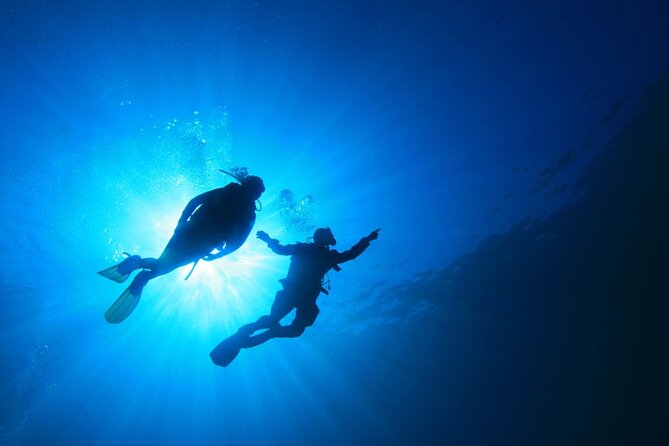 4 Day Certified PADI Open Water Scuba Diver in Dubai - What the $417.26 price includes in practical terms