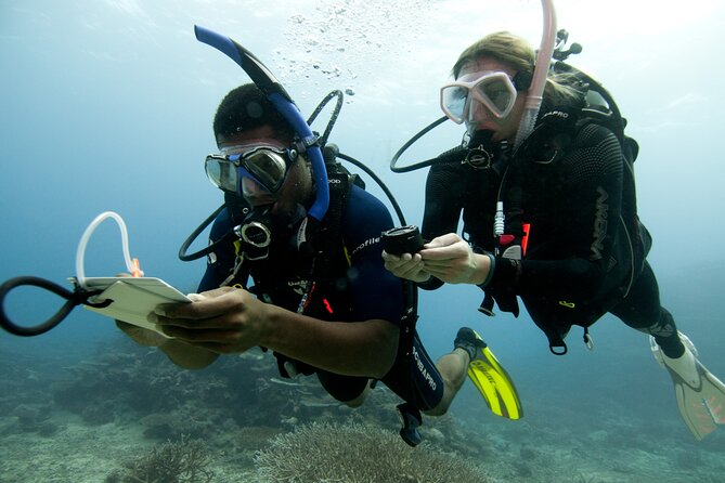 4 Day Certified PADI Open Water Scuba Diver in Dubai - Physical fitness, transport, and daily planning