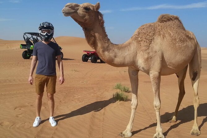 4 Hours Morning Desert Safari in Dubai - What the $56.94 price really buys