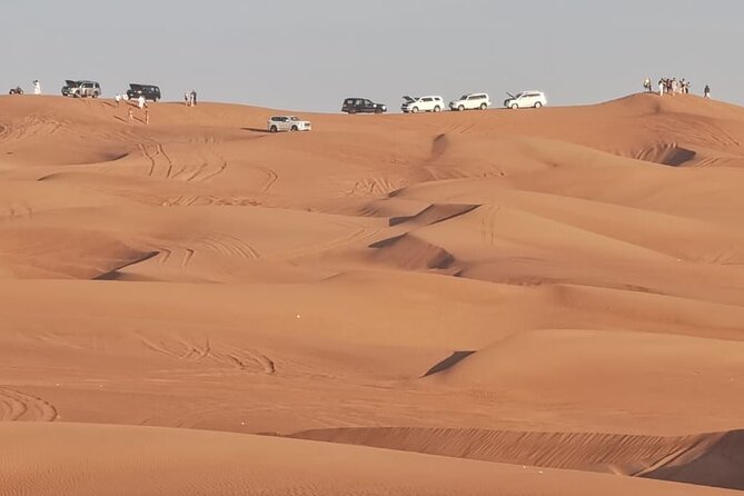 4 Hours Morning Desert Safari in Dubai - One hour of dune bashing in a 4WD