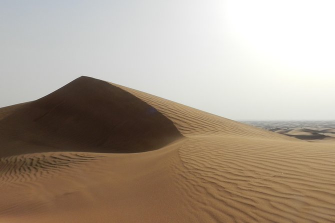 4x4 ATV Quad Biking Dubai Desert Tour - 1 Hour Experience - The desert views and the physical side