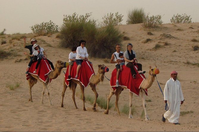 4X4 Dubai Desert Safari with BBQ dinner, Camels & Live Show - Practical ways to make the day better