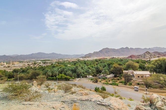4x4 Hatta Safari to Fossil Rock & Honey Bee Garden visit with Breakfast - Hatta Dam: beautiful, but often brief