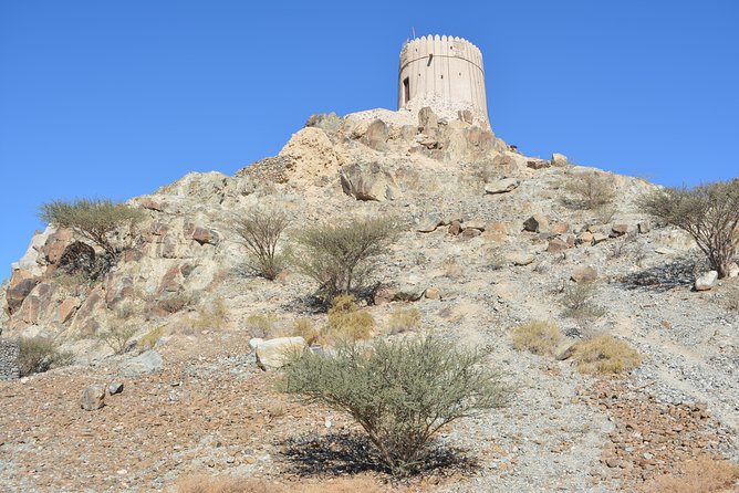4x4 Hatta Safari to Fossil Rock & Honey Bee Garden visit with Breakfast - How much time should you set aside?