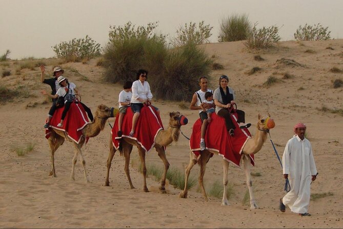 4x4 Self-Drive Quad Bike Safari with Camel Riding - Is $160 a fair price?