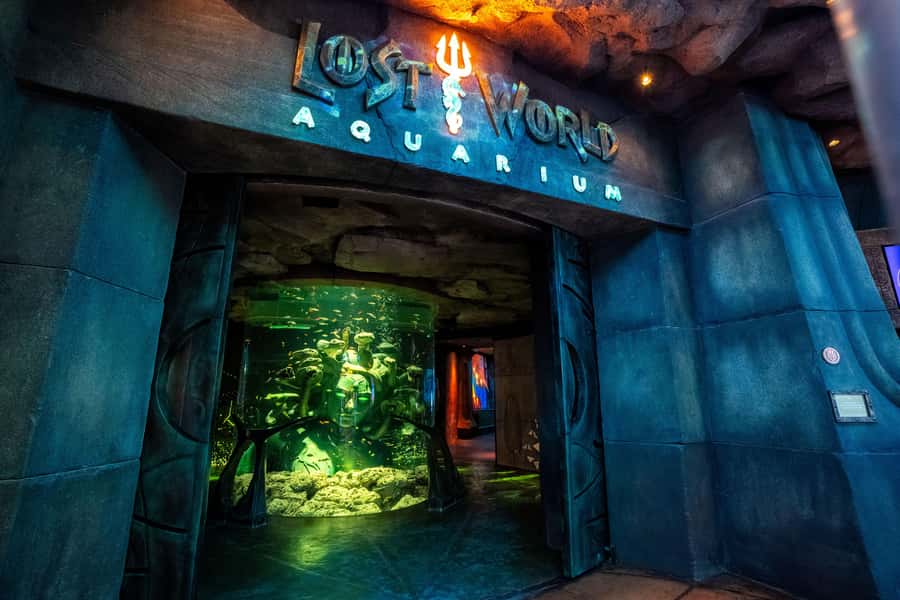 5-Day Pass: Hop-On Hop-Off, Lost World Aquarium, Dubai Frame - Blue Route: Palm Jumeirah, beaches, and Marina