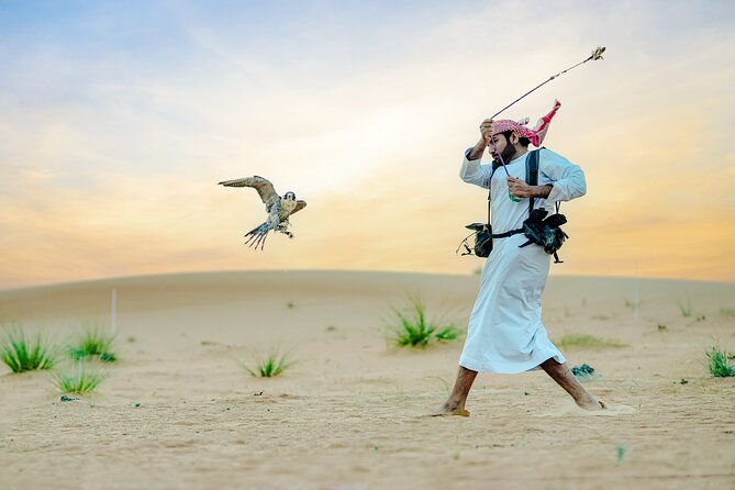 57 Heritage Safari with Dune Buggy - Falconry, feeding, and a sunset camel trek