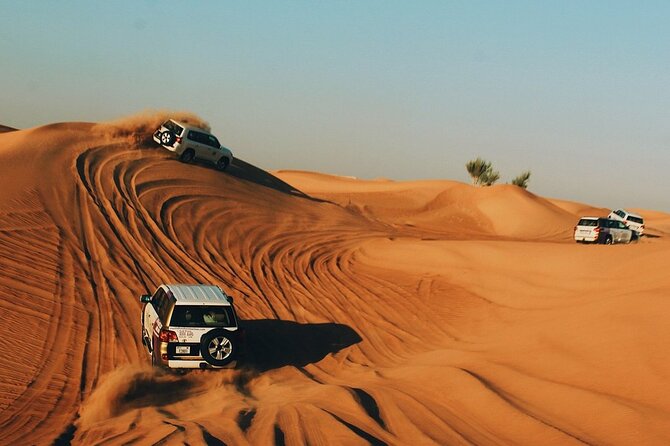 6-Hour Private Desert Safari Experience with BBQ Dinner in Dubai - Live shows and the evening entertainment