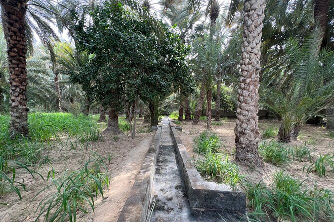 8 Hours Al Ain City Tour without lunch - Al Jahili Fort and the old Al Ain story