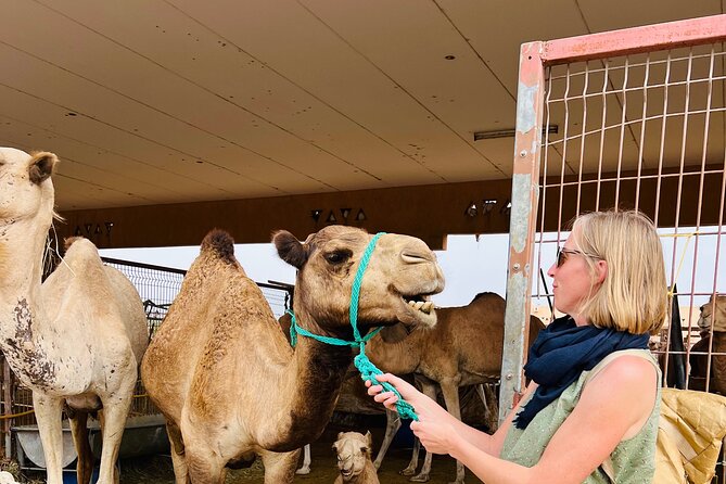 8 Hours Al Ain City Tour without lunch - One peaceful hour at Al Ain Oasis