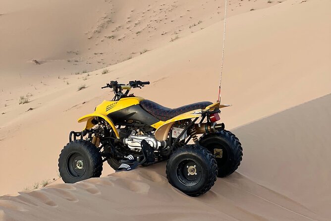 Abu Dhabi: 4-Hour Morning Safari with Camel Ride & Sand boarding - Why this four-hour safari works for a short Abu Dhabi stay