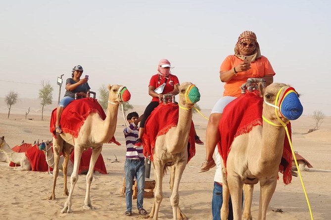 Abu Dhabi city tour & desert safari from Dubai - Abu Dhabi’s landmarks, seen at a quick pace