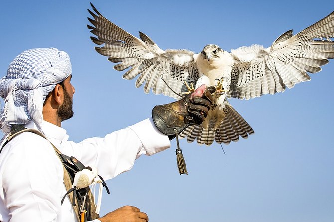 Abu Dhabi: Desert Safari with BBQ, Camel Ride & Sandboarding - Sandboarding gives you a second way to use the dunes