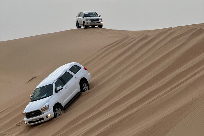 Abu Dhabi Desert Safari With BBQ Dinner & Live Shows - What the $60 Abu Dhabi safari includes