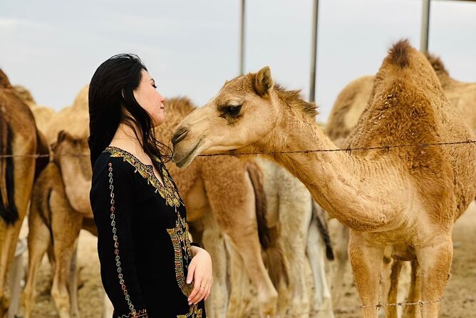 Abu Dhabi Desert Safari With BBQ Dinner & Live Shows - Sandboarding and the brief camel ride