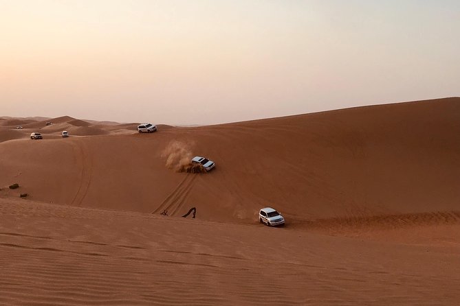 Abu Dhabi Desert safari with BBQ Dinner,Sandboarding & Camel ride - Five things to know before booking