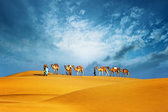 Abu Dhabi Evening Desert Safari Adventure - Key points at a glance