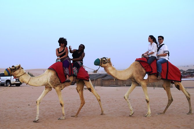 Abu Dhabi Evening Desert Safari with BBQ Dinner and all Camp Activities - Camels, sandboarding, and the first desert stops