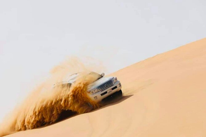 Abu Dhabi: Evening Desert Safari with Camel Ride, BBQ & Live Show - Is $72 a fair price?