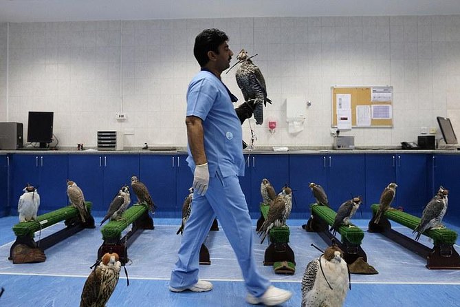 Abu Dhabi Falcon Hospital Tour - Watching the Birds Recover and Fly