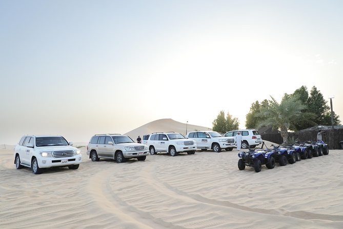 Abu Dhabi Half Day Desert Safari - Camel farms and a short ride