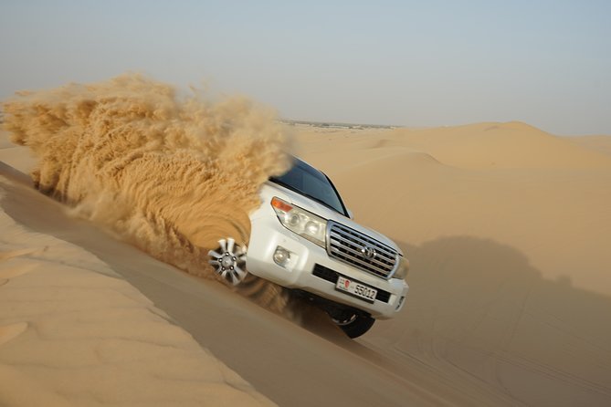 Abu Dhabi Half Day Desert Safari - How the $74 price holds up