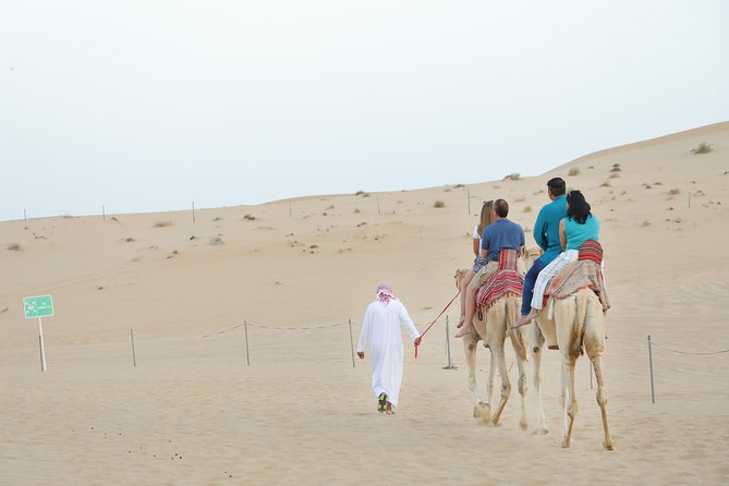 Abu Dhabi Morning Desert Safari - Why the Morning Timing Makes Sense