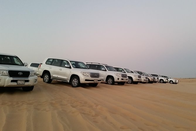 Abu Dhabi Morning Desert Safari - Camel Farm Visit: More About Animals Than Entertainment