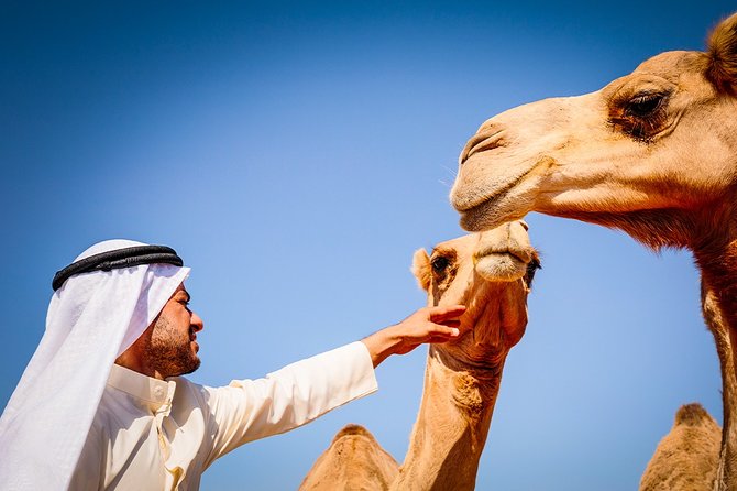 Abu Dhabi: Morning Desert Safari with Camels and Sandboarding - The morning pickup and ride beyond the city