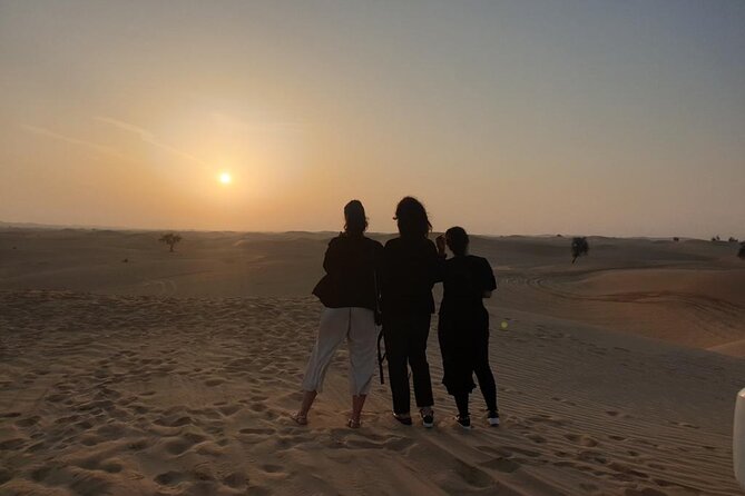 Abu Dhabi: Sunrise Desert Safari Experience - How private transport affects the experience