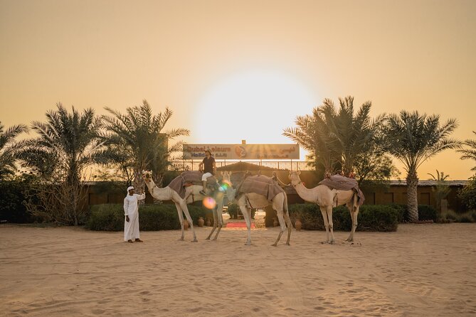 Adrenaline combo : Desert activities + ATV or Quad bike option - Sandboarding and the high-dune photo stop