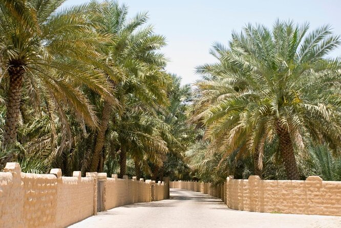 Al Ain City Sightseeing tour with Lunch from Dubai - Guide quality, vehicle, and group setup