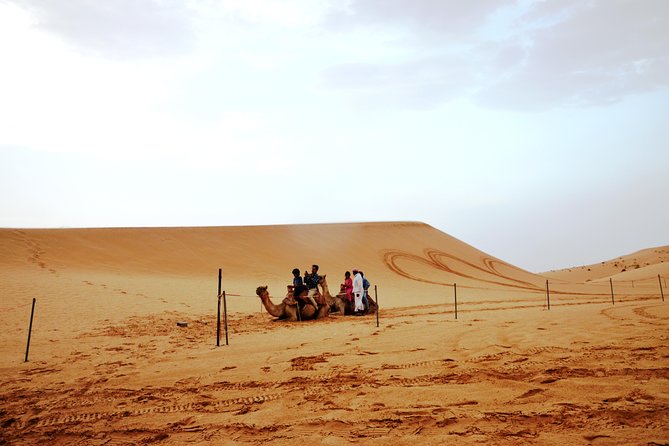 Al Ain Desert Safari with Buffet Dinner - Buffet dinner and evening entertainment
