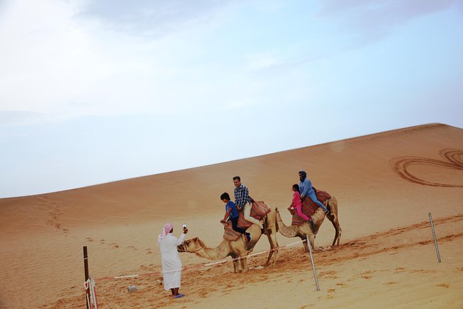 Al Ain Desert Safari with Buffet Dinner - Who should book this Al Ain safari?