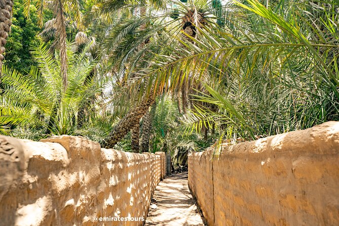 Al Ain Full Day Trip from Abu Dhabi with Lunch - The Sheikh Zayed Palace visit, with an important closure