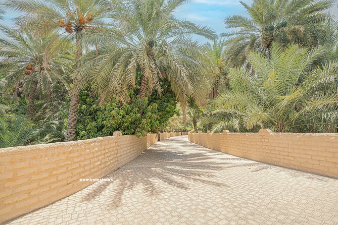 Al Ain Full Day Trip from Abu Dhabi with Lunch - Hot springs in the foothills