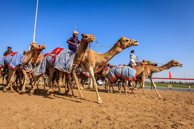 Al Ain Tour from Abu Dhabi - Sheikh Zayed Palace Museum and the Missing National Museum
