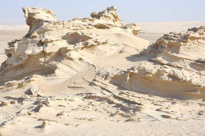 Al Wathba Fossil Dunes and Salt Lake Trip from Abu Dhabi - Al Wathba Wetland Reserve and seasonal wildlife