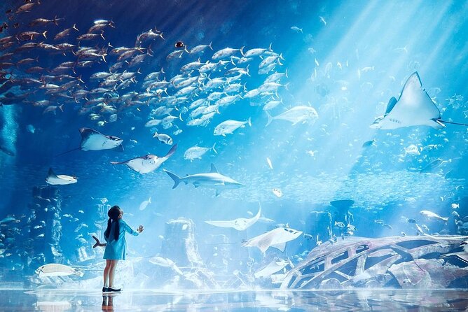 Atlantis Lost-Chamber Aquarium Dubai - Entering Atlantis, The Palm for an underwater story