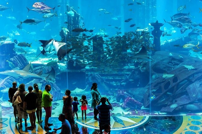 Atlantis Lost-Chamber Aquarium Dubai - Following the sunken-city route