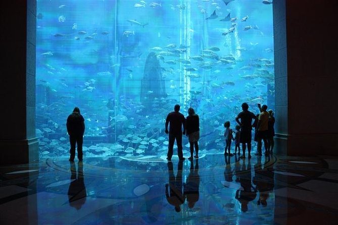 Atlantis Lost-Chamber Aquarium Dubai - How long should you plan to stay?