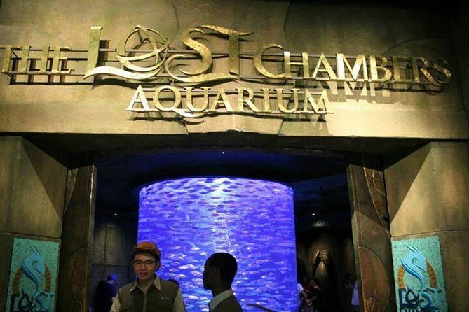 Atlantis Lost-Chamber Aquarium Dubai - Sharks, rays, piranhas, and seahorses along the route