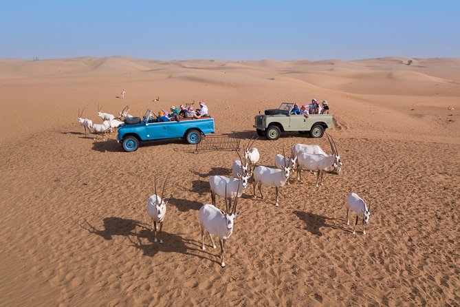Authentic Safari in Vintage Land Rover with Traditional Dinner - Stargazing in the Dubai Desert